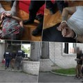 Pogledajte kako policija hapsi makroe u Beogradu: Devojku 5 meseci primoravali na prostituciju, uzimali joj sve pare! (video)