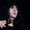 Ni Kerber ne nastupa u Zaječaru