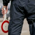 Carinici u Nemačkoj otkrili 16 jazavičara u jednom automobilu: Probao da prošvercuje životinje bez dokumenata