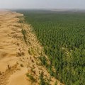 U Velikom zelenom zidu zasađeno 66 milijardi stabala, sada imaju problem - rastu brže od prirodnih šuma