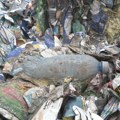 Požar na deponiji Buljanka u Paraćinu : Neprijatn mirisi i dim preplavili Jagodinu