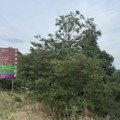 Otkačila se prikolica, pa napravila pravu pometnju: Vozila na Fruškoj gori nepomično stoje FOTO