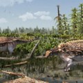 Na groblju dinosaurusa nađena nova vrsta Naučnici zapanjeni: Sav je u šiljcima i oklopu