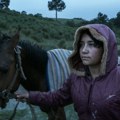Filmski hitovi pod vedrim nebom: Zeleni bioskop Slobodne zone od kraja juna u Novom Sadu, Mokrinu i Sremskim Karlovcima