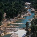 Krčenje šuma amazona smanjeno za trećinu u 2023: Dok je seča opala, “Pluća planete” se suočavaju i sa požarima