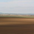 Cena zemljišta u Vojvodini sve viša i nastaviće da raste, a kvalitet sve lošiji