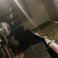 Sušili marihuanu u napuštenom objektu pored Save: Zaplenjeno 1,2 kilograma droge
