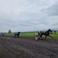 Konj Ada lav odneo pobedu na konjičko-kasačkim trkama u Leskovcu