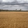 Desetine tona pesticida prisutno u oblacima iznad Francuske