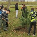 Zasađeno 135 sadnica pored stadiona ’Čika Dača’