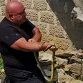Tri zmije pronađene u leglu kod Leskovca, jedna ujela Vladicu Stankovića (video)