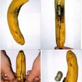 Stigla pošiljka, a umesto banana: - kokain! U skladištu firme za uvoz i izvoz voća i povrća pronađena droga vredna više…