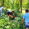 Eko park pretrpeo značajna oštećenja u nevremenu, priključite se sanaciji posledica (FOTO)