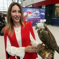 ,,Sokolom za sokola“: Srbijavoz će od svake kupljene karte odvajati dinar za stanište ptice