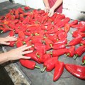 Paprika kraljica pijace, a kiseli kupus ne može da se nađe ispod 150 dinara!