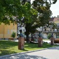 Festival zanatskog piva i prvi Noćni Bazar u Apatinu Za dobar provod zaduženi su "Lako ćemo", "Bitange" i "Njuške"