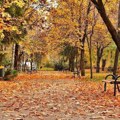 Sunce na severu, kiša na istoku — temperatura do 18 stepeni