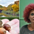 „Dnevnik” u „bačkom podunavlju”, prvom i jedinom unesco rezervatu biosfere u Srbiji Tamo gde Dunav šapuće hrastovima i vrbama…
