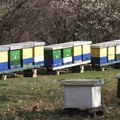 Prijave nadležnom veterinaru broj košnica do kraja oktobra
