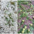 Izveštaj o šteti od grada u Subotici uskoro pred RHMZ! Komisija na terenu, procena štete od nevremena u završnoj fazi