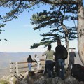 Planina u Srbiji je raj koji krije najlepšu prirodu: Nije ni čudo što je Novak Đoković obožava i hvali