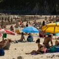 Haos na plaži Ljudi su opušteno ležali na pesku, a onda ih je šokirao neverovatan prizor