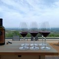 Vinski put Šumadije obogaćen italijanskim sortama
