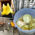 Domaća zimnica osvaja svet: Kiseli kupus i krastavčići stižu čak do Australije! Izvozimo tone, evo u koje zemlje
