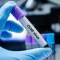 "Horor" krpelji šire do sada nepoznat virus