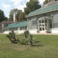 Wine Garden prvi put u večernjem izdanju: vino, muzika i boho atmosfera u Botaničkoj bašti