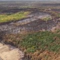 Пожар у Делиблатској пешчари под контролом! Ватрогасци из Румуније, Немачке и Мађарске помажу у гашењу: Активан пожар у селу…