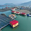 Kina unapređuje pomorsku ekonomiju, globalno upravljanje pomorstvom