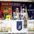 Festival uličnih pasa – upoznajte se sa prvim sokićem za pse na svetu!