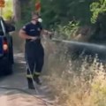 U požaru u Nišu ikona Presvete Bogorodice ostala netaknuta: Vatrogasci u čudu, vatra progutala sve oko nje (video, foto)