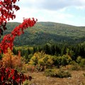 Pošta Srbije i Javno preduzeće za razvoj planinskog turizma Stara planina prelaze u doo