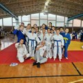 Džudo klub “Partizan Leskovac” osvojio je 14 medalja na međunarodnom turniru