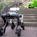 VIDEO Pas robot patrolira kineskim gradom: Treba da otkrije nezakonito parkiranje i blokade puteva