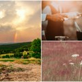Rajac i vinarske pivnice – Stari kameni skrivaju vinske tajne Istočne Srbije