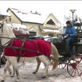Božić bata stigao na nesvakidašnji način, umesto sanki - konji