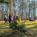 Kragujevac: Posađena nova stabla u Parku novogodišnjih jelki