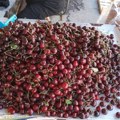 Trešnje 250, kupus 60, pasulj 250 dinara: Uporedili smo cene na mitrovačkoj pijaci sa ostatkom Srbije