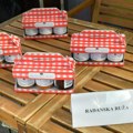 Покренута прва јавна база социјалних предузећа у Србији