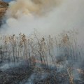 Klimatske promene: Šumski požari, promenljivo lice mediteranskog pejzaža