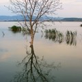 Nagli pad vode u najvećim svetskim jezerima