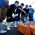 IAEA uzima uzorke riba na pijaci u Fukušimi, nakon ispuštanja vode iz nuklearke
