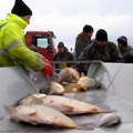 Da li i pored posta više cene smanjuju tražnju za ribom
