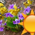 Menja se vreme Sutra sunčano, temperatura do 27 stepeni