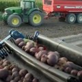 Bagatelna cena, a najbolji je ruski lek za sprečavanje tumora Prava vitaminska bomba efikasna i kod lečenja pacijenata posle…