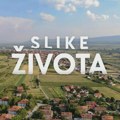 Слике живота: Чекаоница за живот
