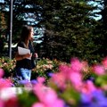 Sveže jutro, pa topao dan – temperatura do 31 stepen